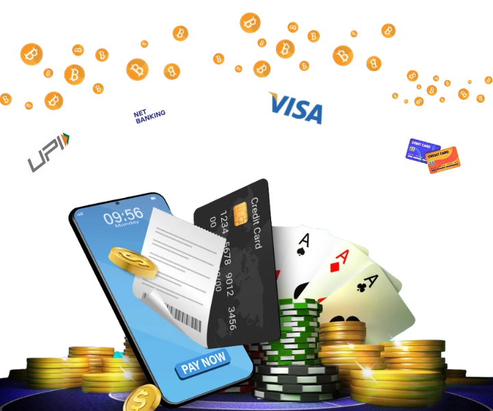 feedinco payment method