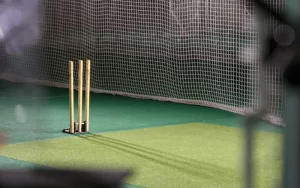Free Online Cricket Games