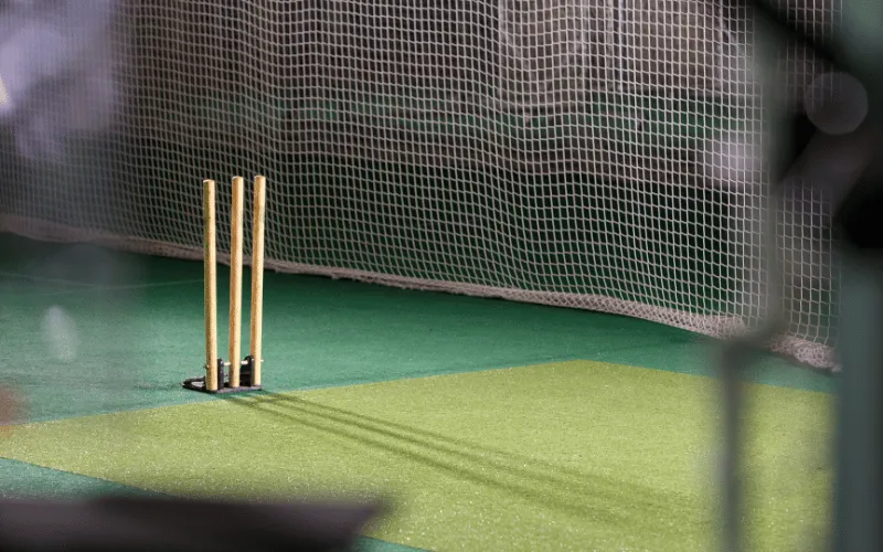 Free Online Cricket Games